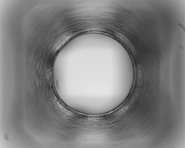 X0000102250985200808151813