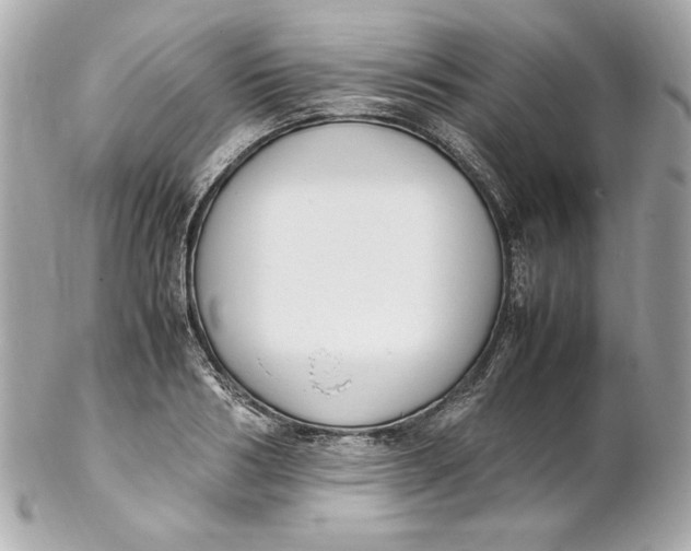 X0000102250986200808151813