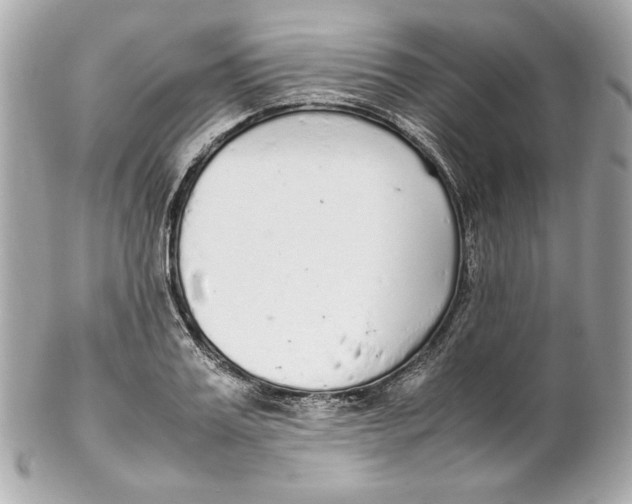 X0000102250987200808151813