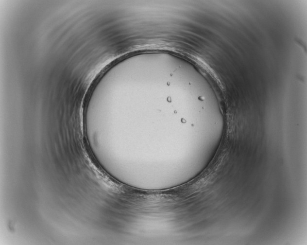 X0000102250988200808151813