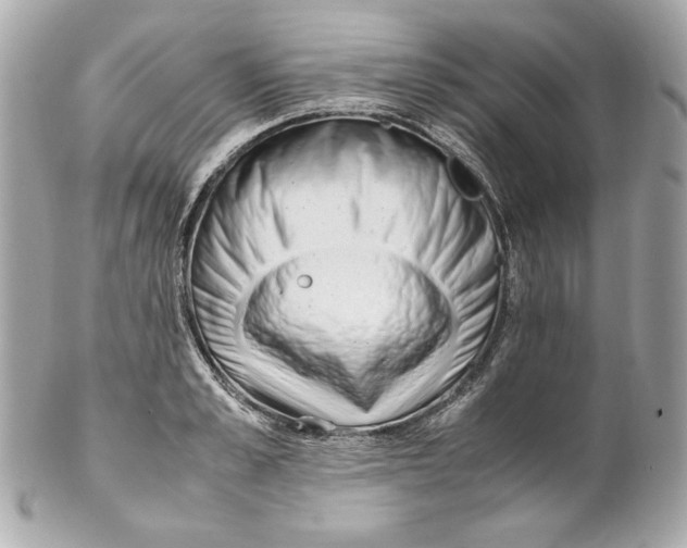 X0000102250989200808151813