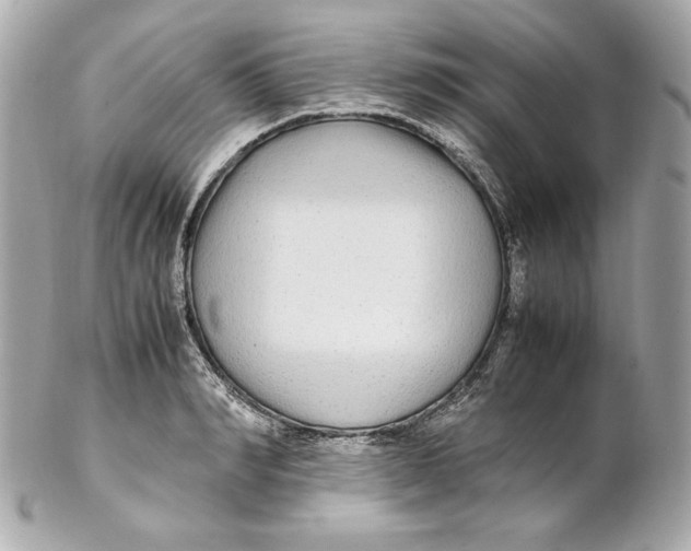 X0000102250990200808151813