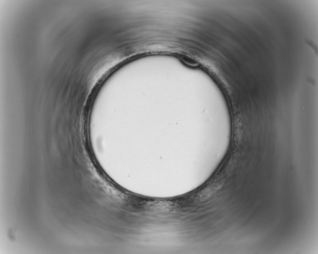 X0000102250991200808151813