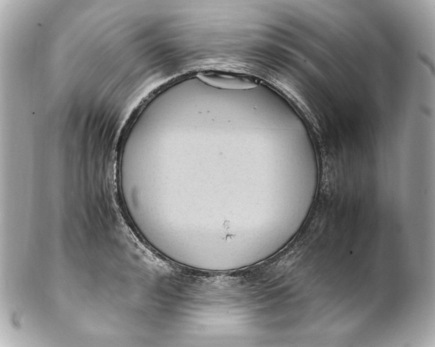 X0000102250992200808151813