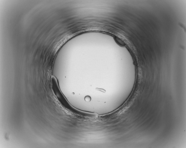 X0000102250993200808151813