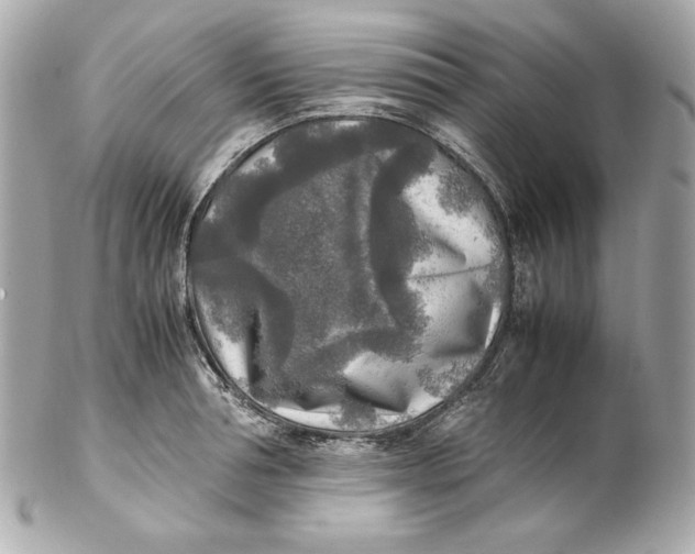 X0000102250994200808151813