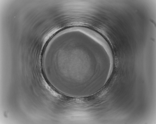 X0000102250995200808151813