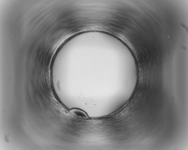 X0000102250996200808151813