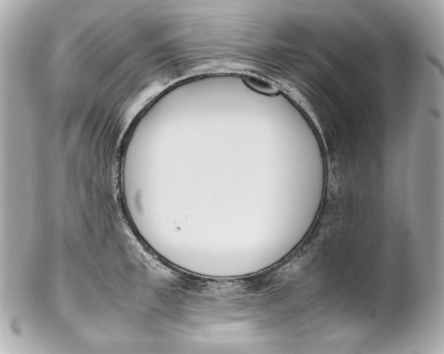 X0000102250997200808151813