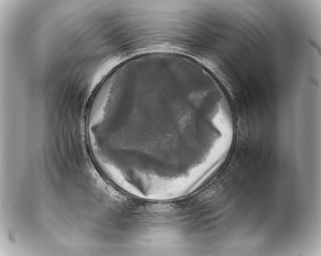 X0000102250998200808151813