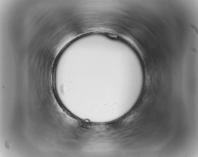 X0000102250999200808151813