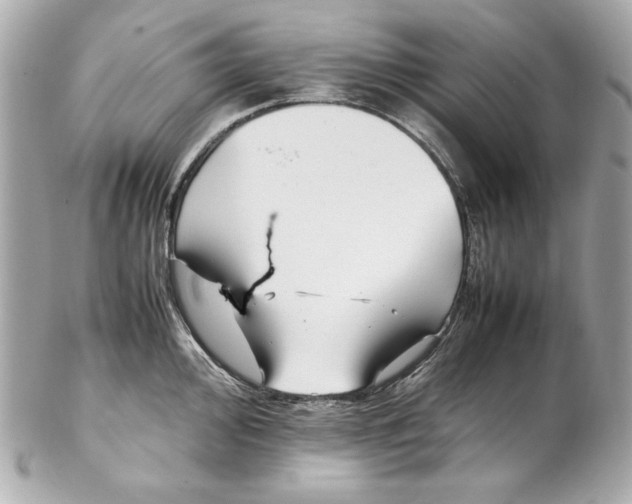 X0000102251000200808151813