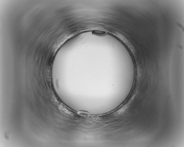 X0000102251001200808151813