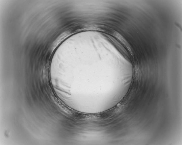 X0000102251002200808151813