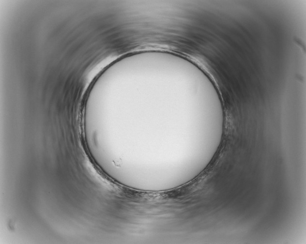 X0000102251003200808151813