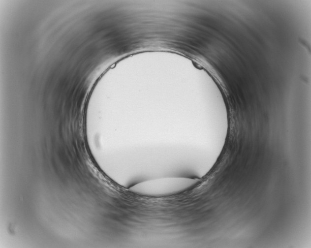 X0000102251004200808151813