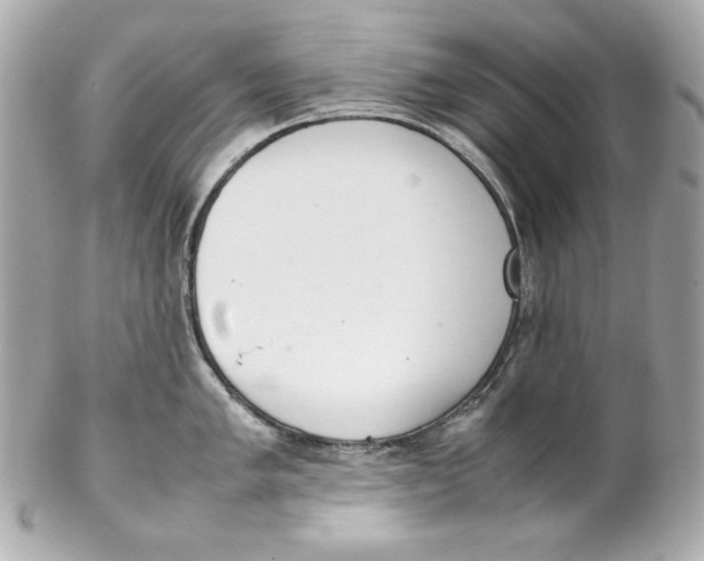 X0000102251005200808151813