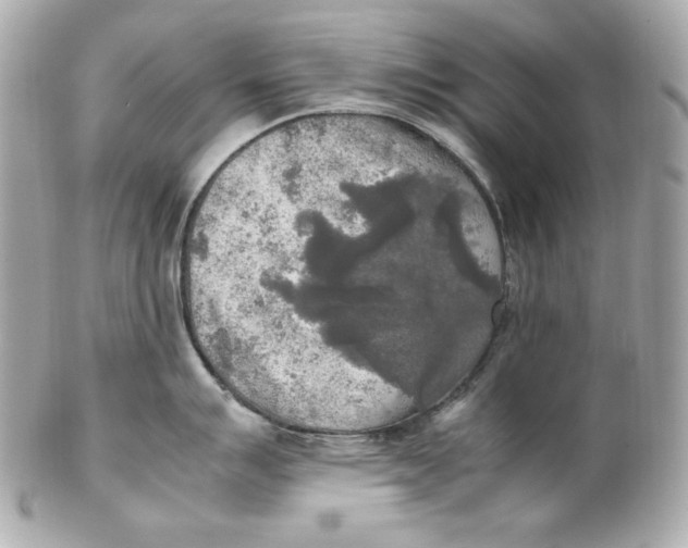 X0000102251007200808151813