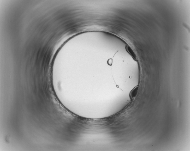 X0000102251008200808151813