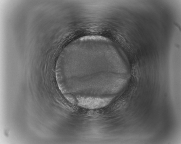 X0000102251009200808151812