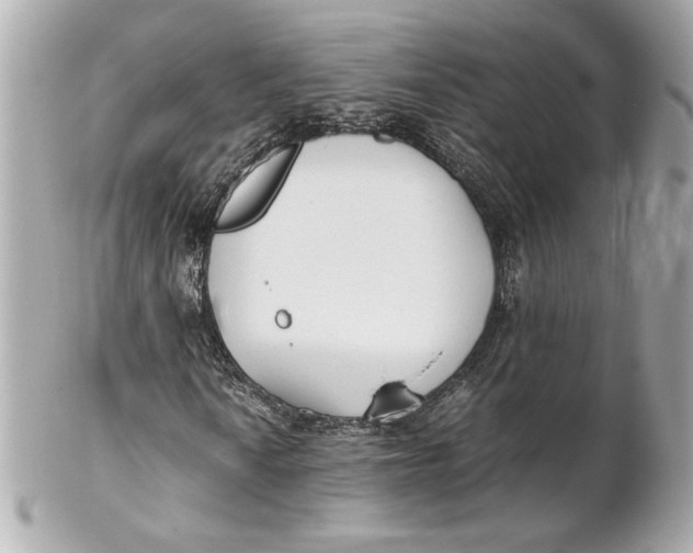 X0000102251010200808151812