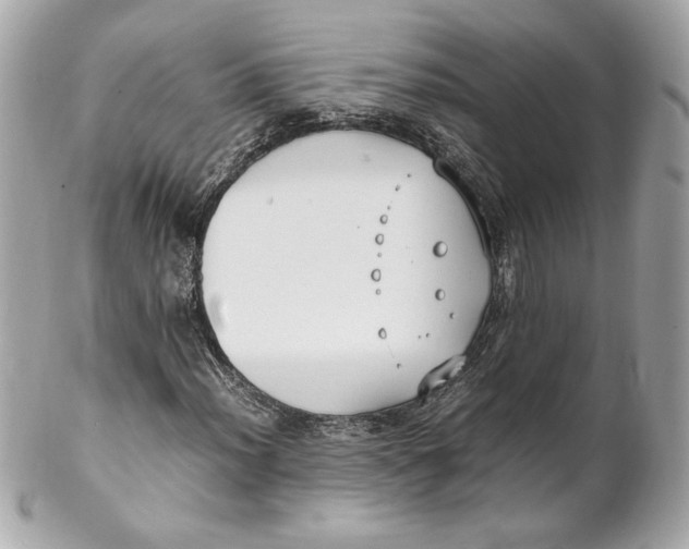 X0000102251012200808151812