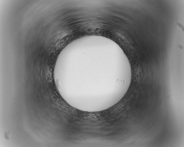 X0000102251013200808151812