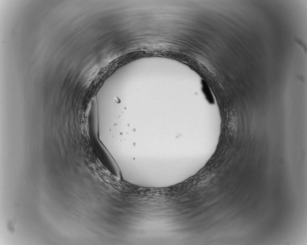 X0000102251016200808151812