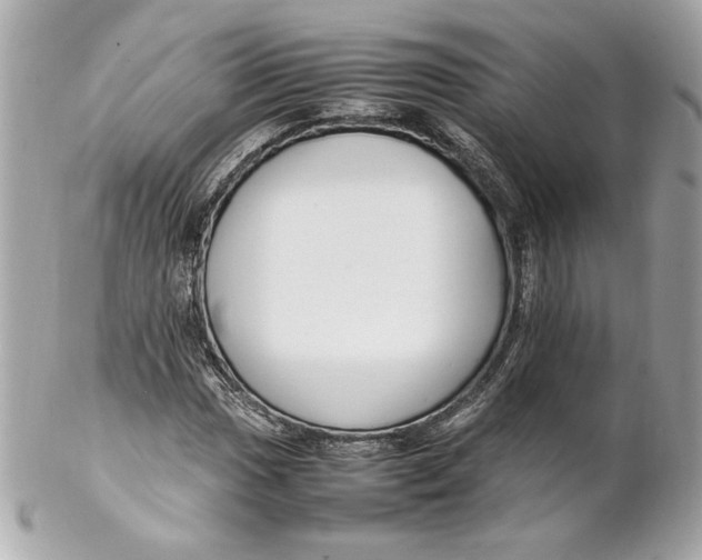 X0000102251017200808151812