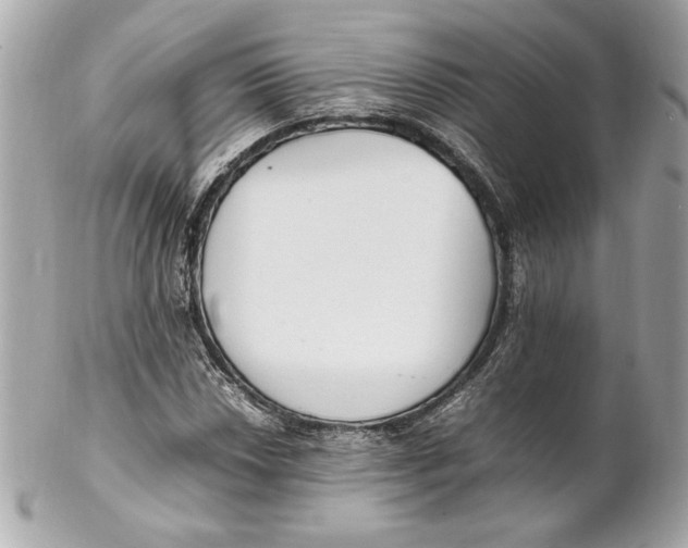 X0000102251018200808151812