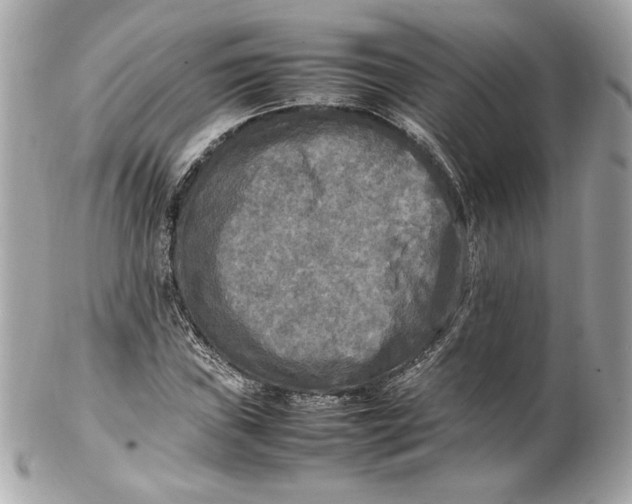 X0000102251019200808151812