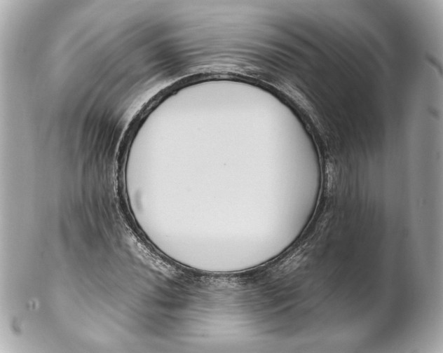 X0000102251020200808151812