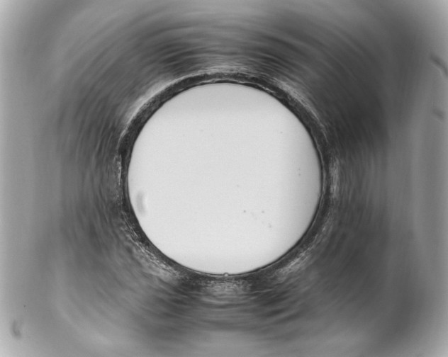 X0000102251021200808151812