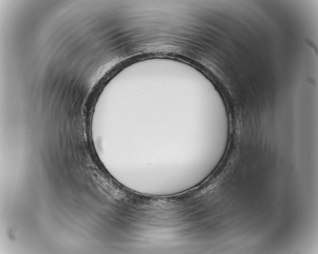 X0000102251022200808151812