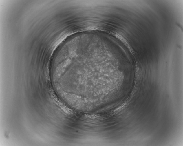 X0000102251023200808151812