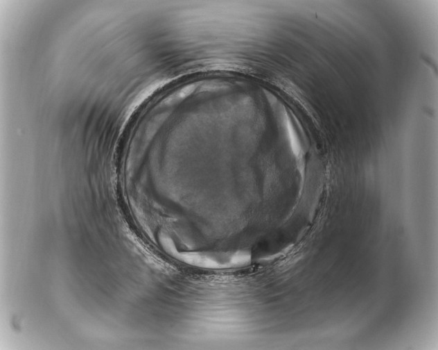 X0000102251024200808151812