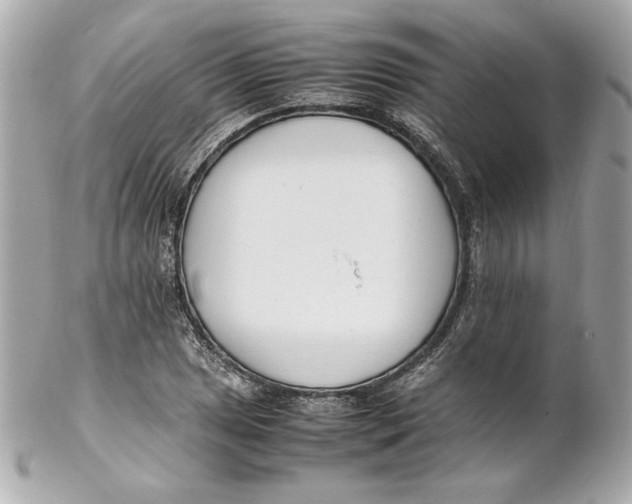 X0000102251025200808151812