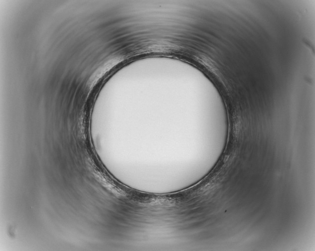 X0000102251026200808151812