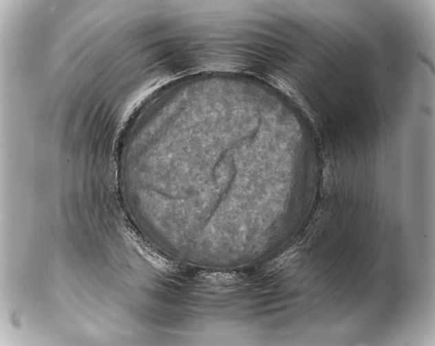 X0000102251027200808151812