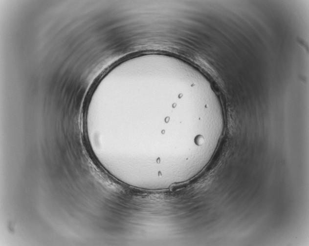 X0000102251028200808151812