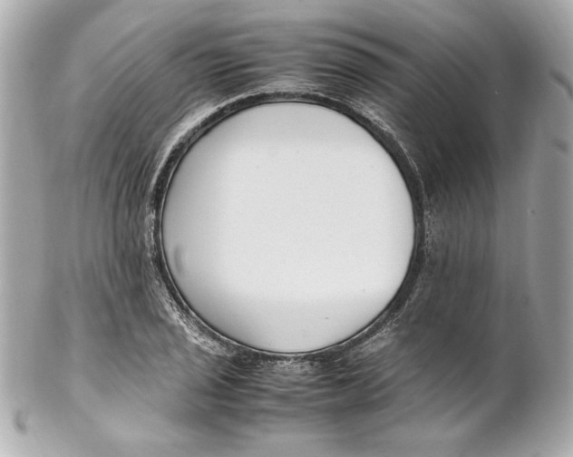 X0000102251029200808151812