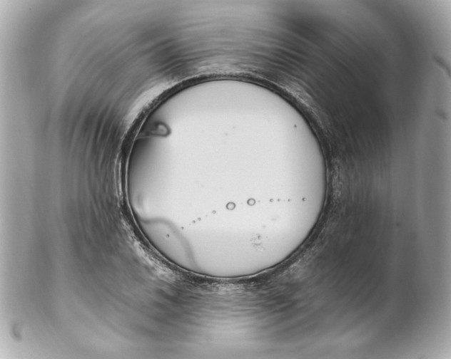 X0000102251030200808151812