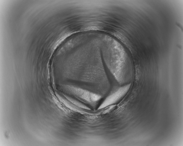 X0000102251031200808151812