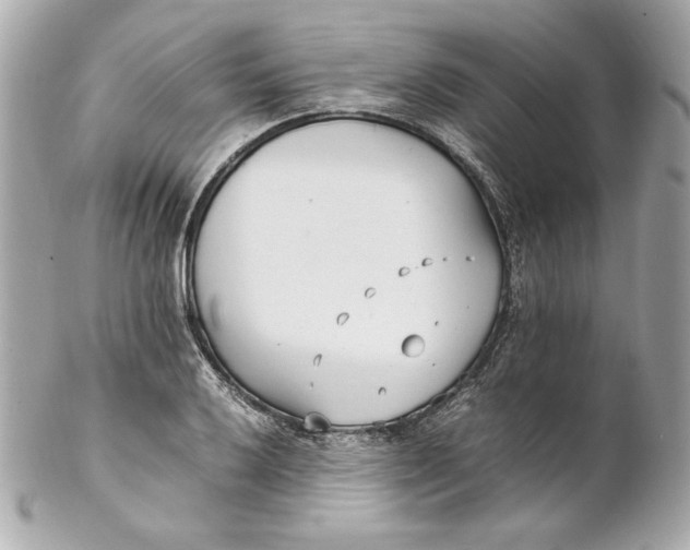 X0000102251032200808151812