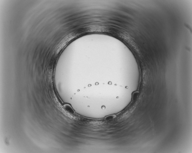 X0000102251033200808151812