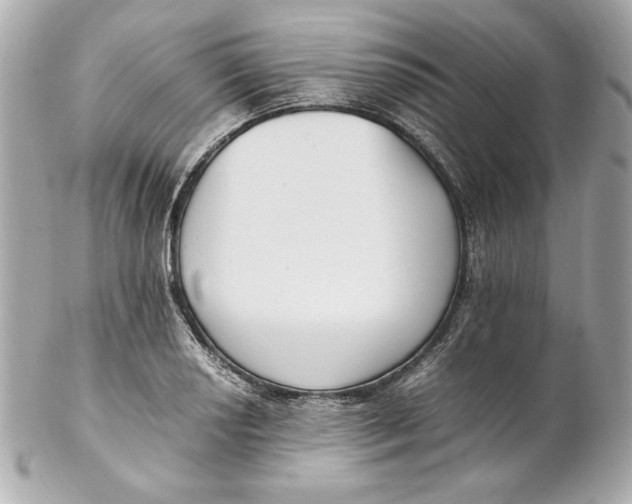 X0000102251034200808151812