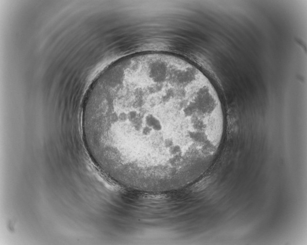 X0000102251035200808151812