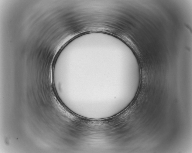 X0000102251036200808151812