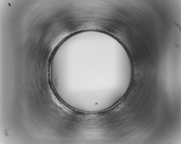 X0000102251038200808151813