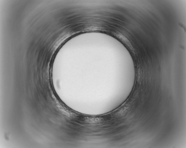 X0000102251039200808151813